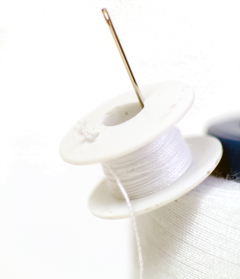 Canette de couture près de Pau